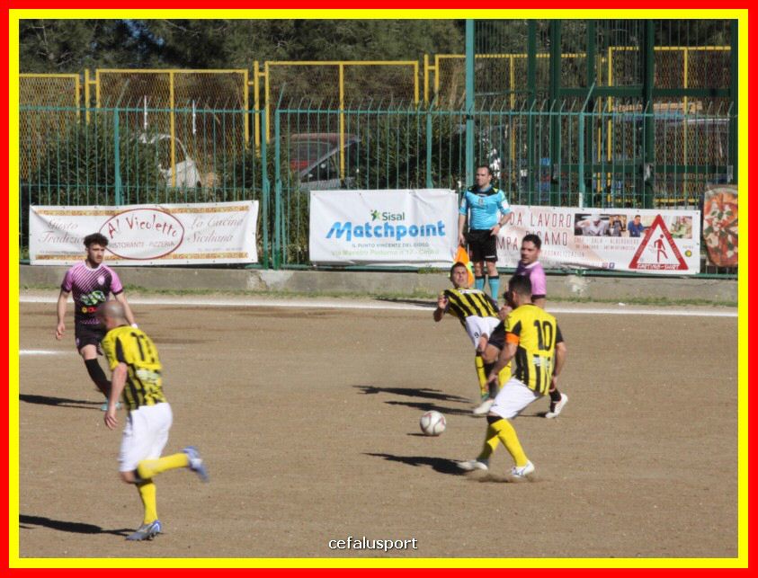 190310 Cephal_Torrenov 072_tn.jpg